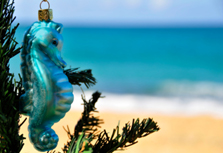 Christmas Beach Theme Decorations, Seashell Christmas Ornaments ...