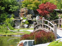 Water Garden Features